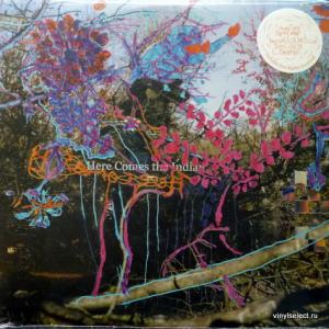 Animal Collective - Here Comes The Indian