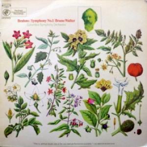 Johannes Brahms - Brahms Symphony No. 1 (Bruno Walter & Columbia Symphony Orchestra)