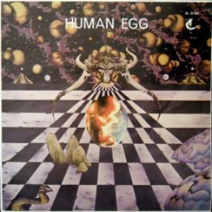 Human Egg - Human Egg