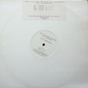 Future Sound Of London, The (FSOL) - My Kingdom (promo)