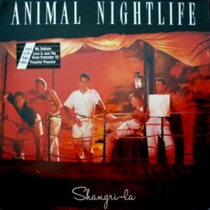 Animal Nightlife - Shangri-La