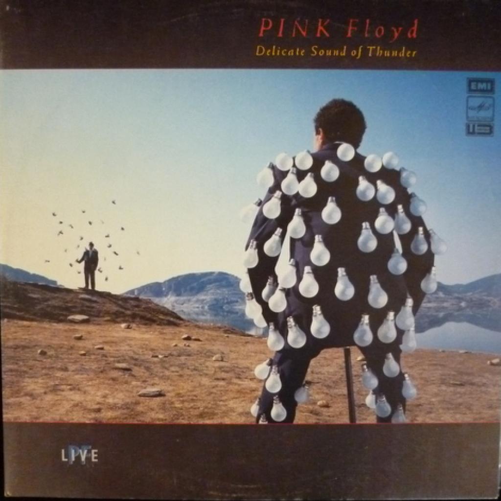 Pink Floyd - Delicate Sound Of Thunder