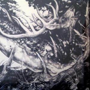 Third Eye Foundation,The - The Dark