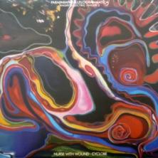Nurse With Wound / Cyclobe - Angry Eelectric Finger 2 - Paraparaparallelogrammatica