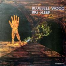 Big Sleep - Bluebell Wood