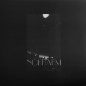 Anenzephalia - Noehaem