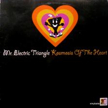 Mr. Electric Triangle - Kosmosis Of The Heart