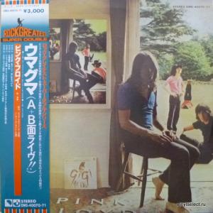 Pink Floyd - Ummagumma