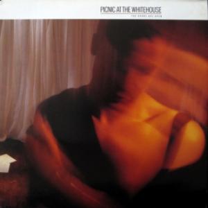 Picnic At The Whitehouse - The Doors Are Open