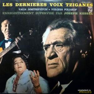 Valia Dimitrievitch (Валя Димитриевич) & Volodia Poliakof (Володя Поляков) - Les Dernieres Voix Tziganes