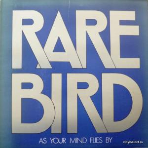 Rare Bird - As Your Mind Flies By