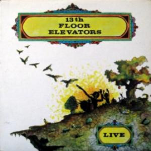 13th Floor Elevators - Live