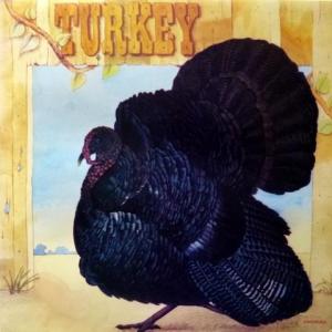 Wild Turkey - Turkey