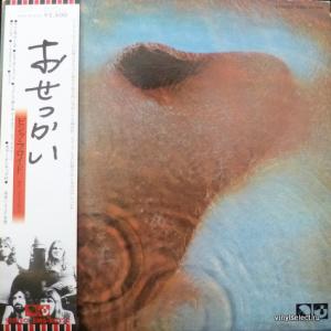 Pink Floyd - Meddle