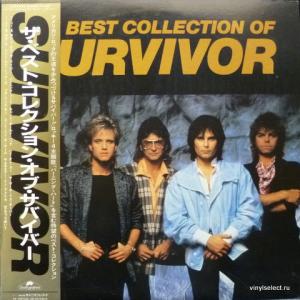 Survivor - The Best Collection Of Survivor