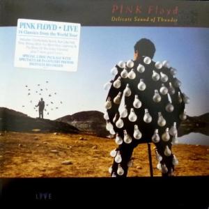 Pink Floyd - Delicate Sound Of Thunder