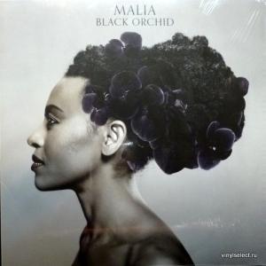 Malia - Black Orchid