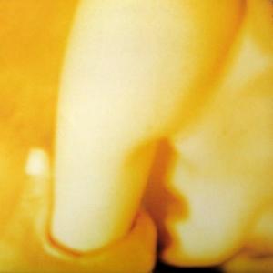 Smashing Pumpkins,The - Pisces Iscariot