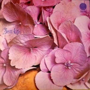 Still Life - Still Life