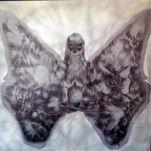 Los Canarios - Ciclos