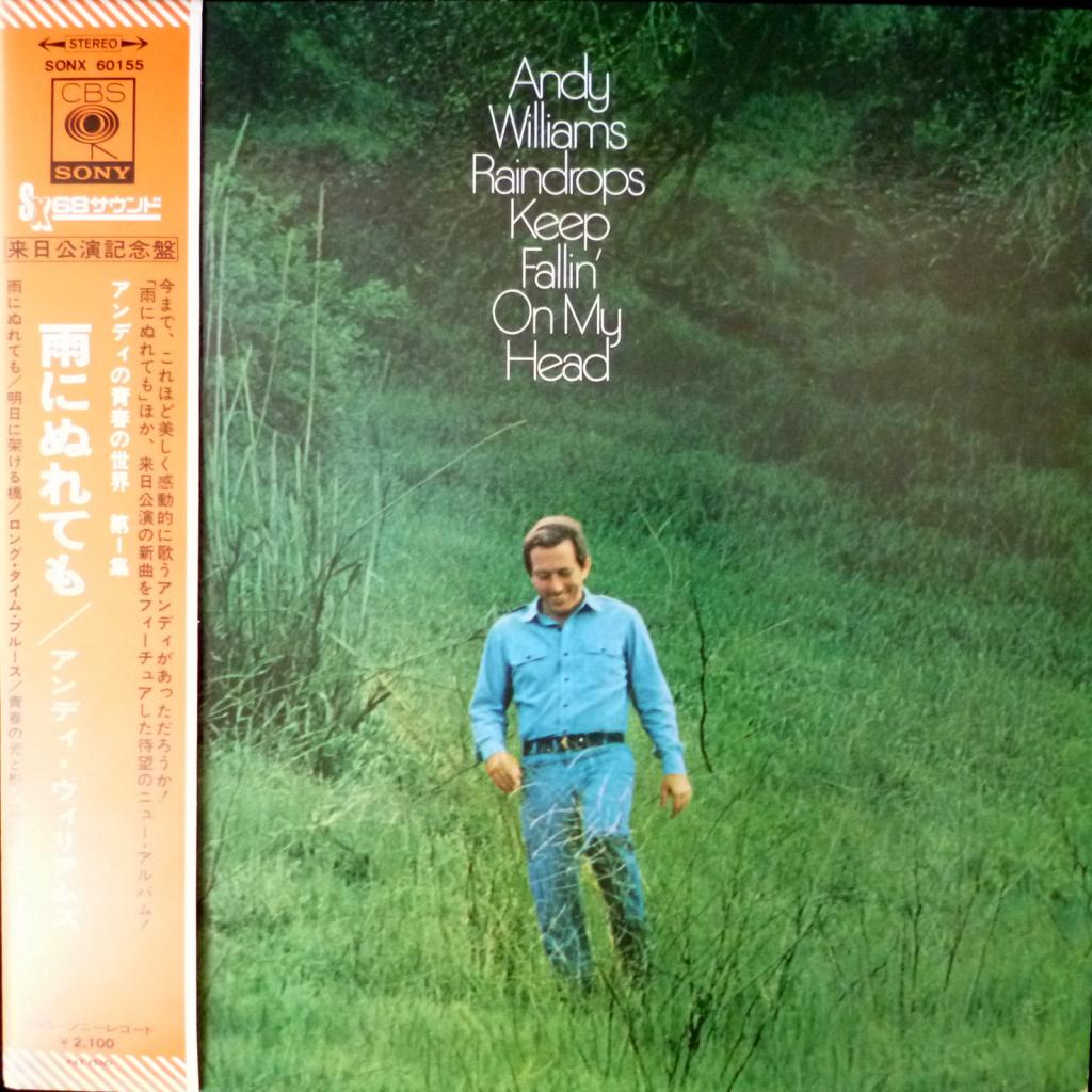 Andy Williams - Raindrops Keep Fallin On My Head