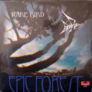 Rare Bird - Epic Forest