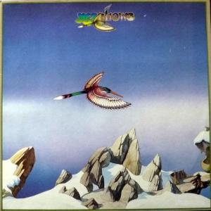 Yes - Yesshows