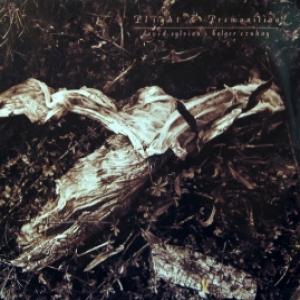 David Sylvian & Holger Czukay - Plight & Premonition