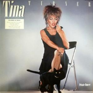 Tina Turner - Private Dancer