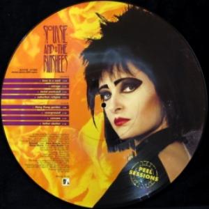 Siouxsie & The Banshees - The Peel Sessions 1977-1978