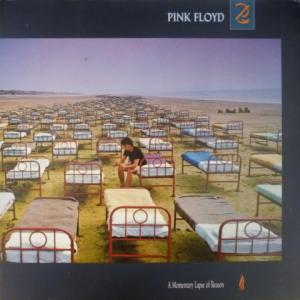 Pink Floyd - A Momentary Lapse Of Reason