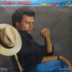 Pino D'Angio - Sunshine Blue