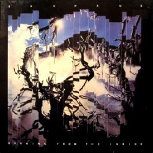 Bauhaus - Burning From The Inside