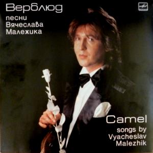 Вячеслав Малежик - Верблюд