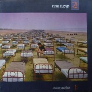 Pink Floyd - A Momentary Lapse Of Reason (White Vinyl)