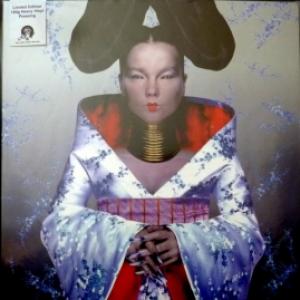 Björk - Homogenic